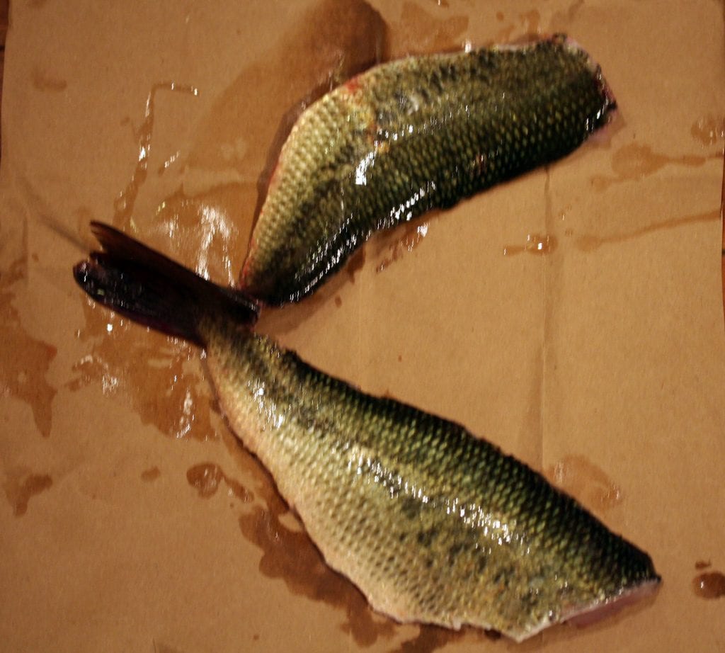 bass fillets attached at tail