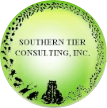 southern tier consulting inc logo